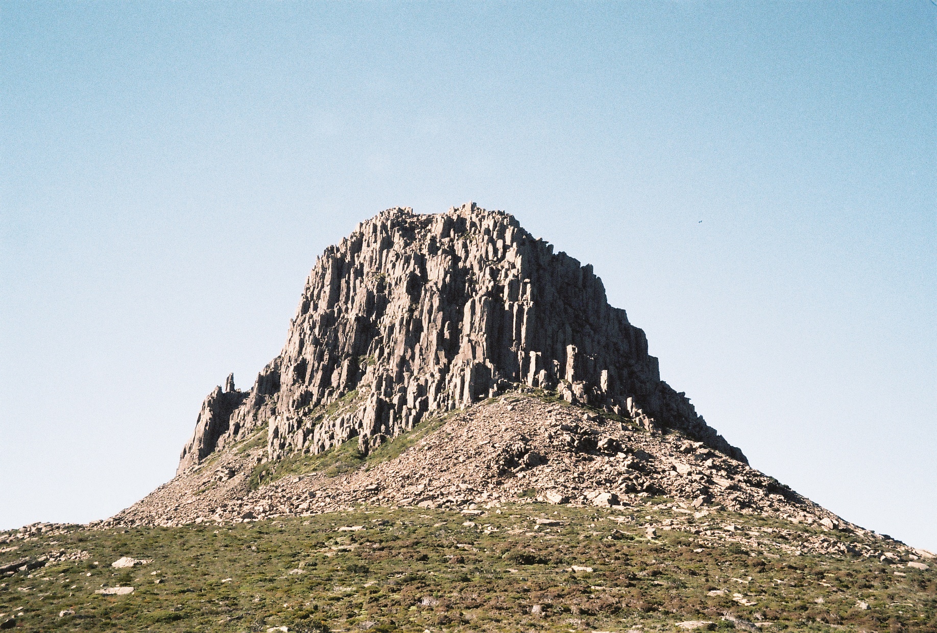 Section Image